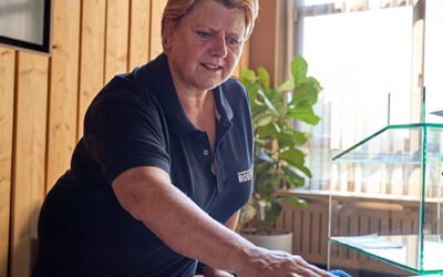 Schoonmaak bijbaan in Bladel en Reusel